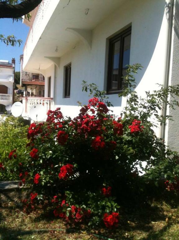 Fimi Apartments Ülgün Dış mekan fotoğraf